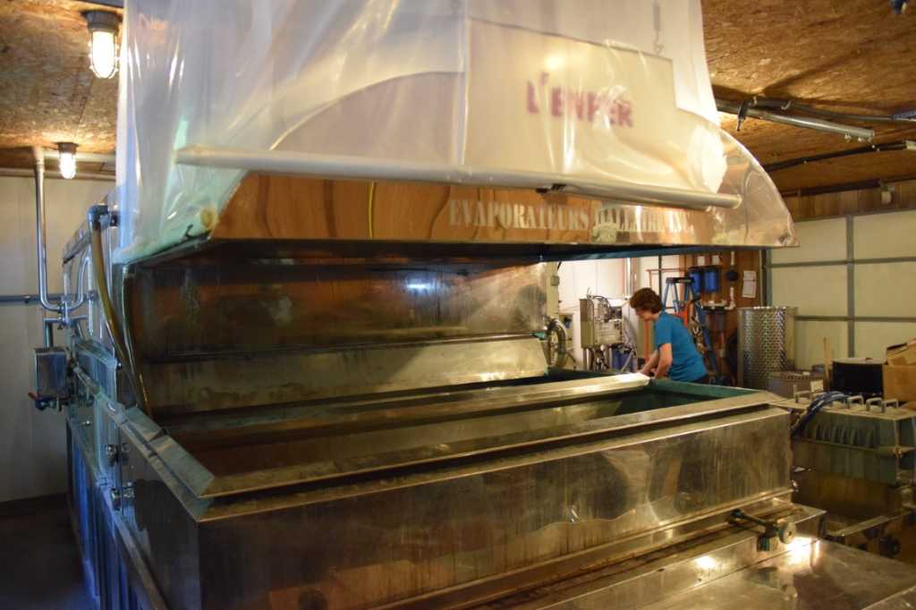 DSC_0199Mittel_.JPG